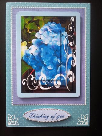 Happy Birthday Just for You Thinking of You by Selina Dittmann