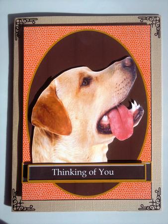 For the Dog Lover Happy Birthday Wishing You Well Thinking of You by Selina Dittmann