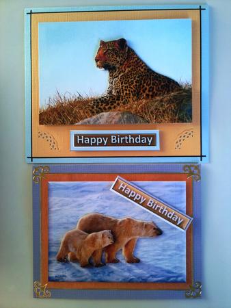 Wildlife Duodeco 1 by Selina Dittmann