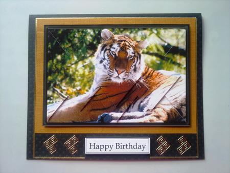 Majestic Tiger - Diamond Stacker Card by Selina Dittmann