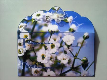 White Flowers in a Blue Sky Money Wallet by Selina Dittmann