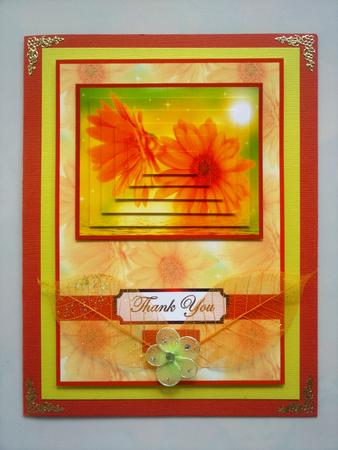 Orange Florals by Selina Dittmann