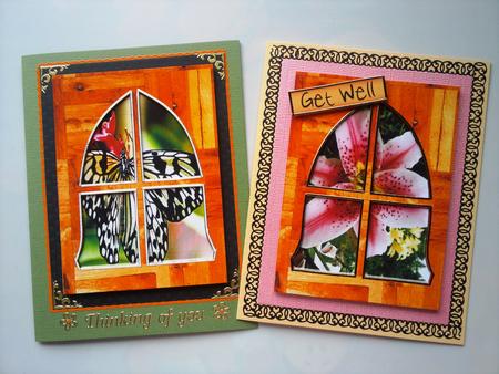My Garden Through My Window by Selina Dittmann