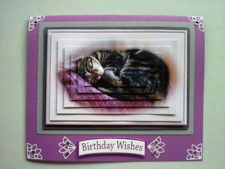 Sleepy Cat 3 by Selina Dittmann