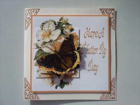 Flutter by Day by Selina Dittmann