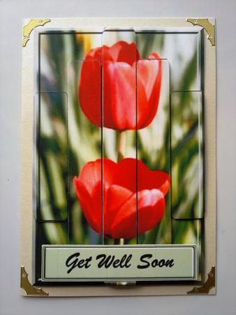 Panelled Tulips by Selina Dittmann