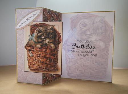 Kitten in a Basket Fold Back by Selina Dittmann
