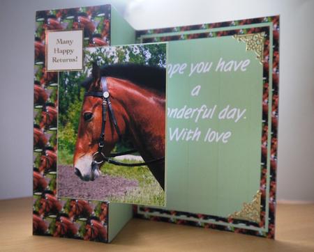 Beautiful Brown Horse by Selina Dittmann