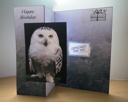 Snowy Owl Fold Back Sheet by Selina Dittmann