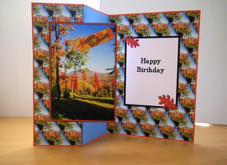 Autumn Trees by Selina Dittmann