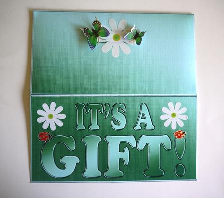 Elegant It's a Gift Money or Gift Wallet and Card by Selina Dittmann