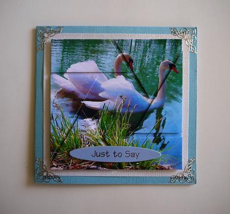 Two Swans by Selina Dittmann