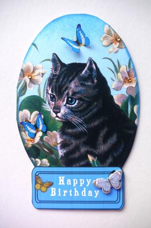 Cat with Flower Globe by Selina Dittmann
