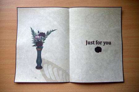 Red Carnation Cardmaking Insert by Selina Dittmann
