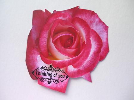 Pink Rose Shaped Card by Selina Dittmann