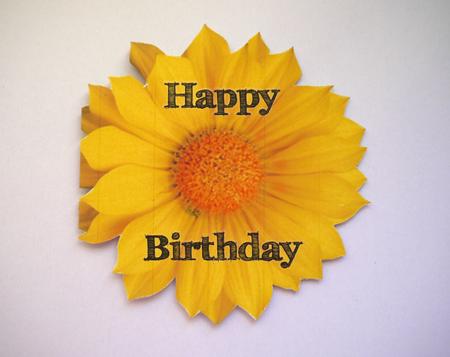 Daisy Shaped Card by Selina Dittmann