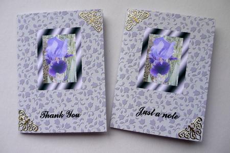 Iris Notelets by Selina Dittmann