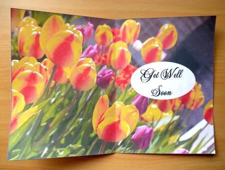 Tulips Insert Get Well Soon by Selina Dittmann