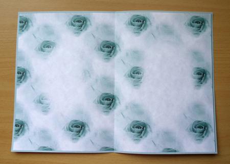 Roses Insert 2 by Selina Dittmann
