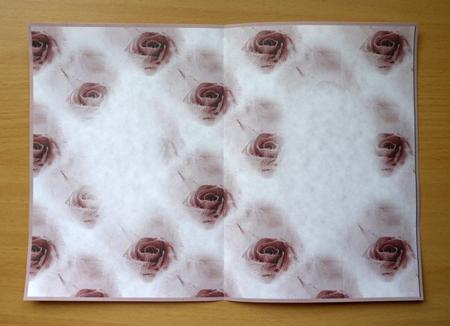 Roses Insert 3 by Selina Dittmann
