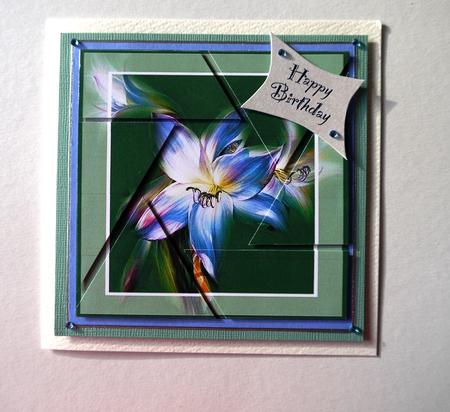 Painted Iris Camera Eye Stacker by Selina Dittmann