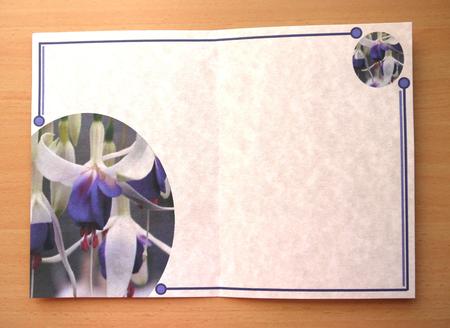 Fuschia Corner Designer Vellum or Insert by Selina Dittmann
