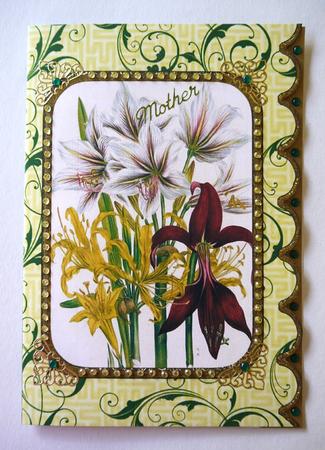 Lily Orchids A5 Scallop Edge Card by Selina Dittmann