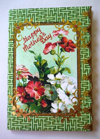 Mixed Primulas A5 Scallop Edge Card by Selina Dittmann