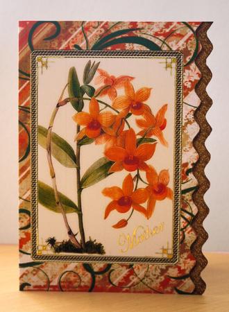 Daffodil Orchid Gold Wavy Edge Card by Selina Dittmann