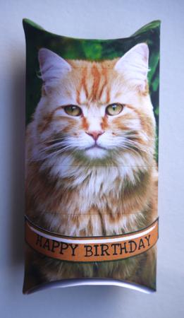 Long Haired Ginger Cat Pillow Box. by Selina Dittmann