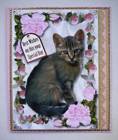 Cute Little Kitty in Frame of Pink Roses A4 by Selina Dittmann