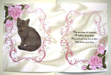 Cute Little Kitty with Pink Roses, A5 Insert by Selina Dittmann