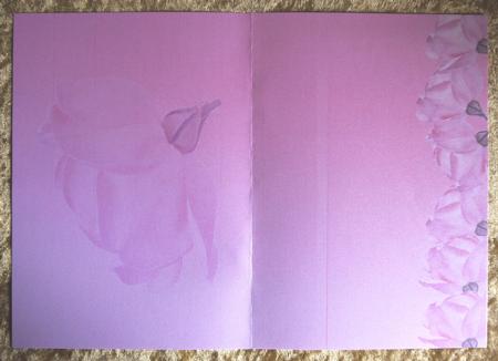 Hot Pink Roses Insert Cut or Print T to Size You Require by Selina Dittmann