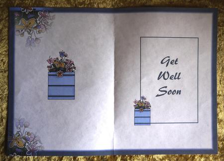 Flower Box Insert Get Well by Selina Dittmann