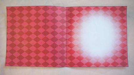 Subtle Diamonds Square Portrait or Landscape Insert by Selina Dittmann