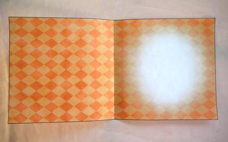 Subtle Diamonds Square Portrait or Landscape Insert by Selina Dittmann