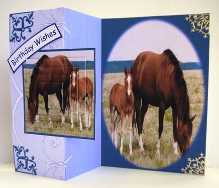 Every Girl Needs a Horse Happy Birthday Foldback Card with Pyramid by Selina Dittmann