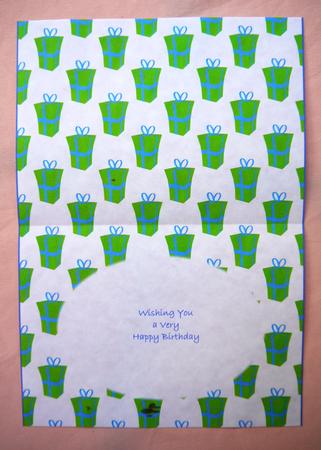 Present Insert Christmas Birthdays Etc -  by Selina Dittmann