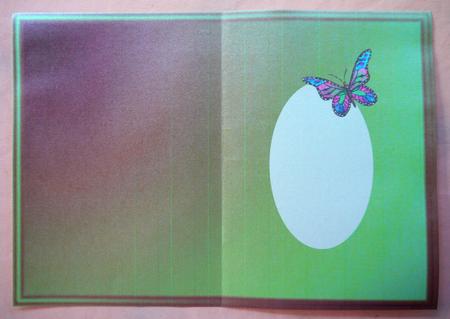 Apple Green and Blush Insert with Butterfly by Selina Dittmann