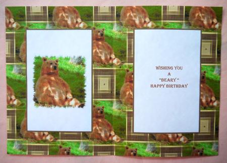 Just Chillin' Brown Bear Insert by Selina Dittmann