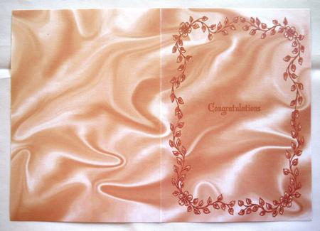 Satin Background with Leaf A5 or Insert in Peach by Selina Dittmann