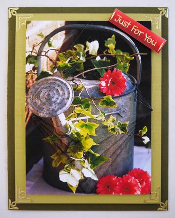 Watering Can Decreasing Diamonds Birthday Card by Selina Dittmann