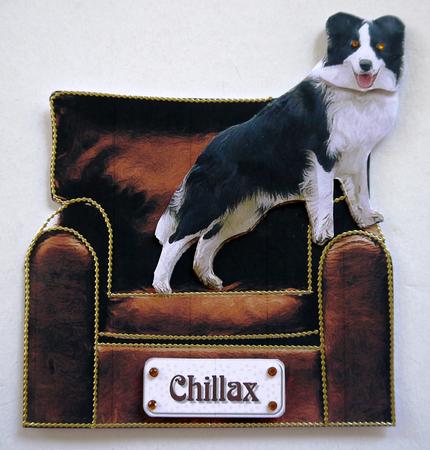 Border Collie on an Armchair by Selina Dittmann