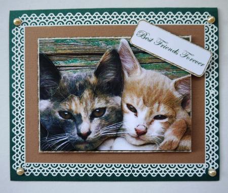 Best Friends Step by Step by Selina Dittmann