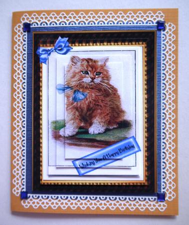 Kitten with Blue Bow, Pyramids by Selina Dittmann
