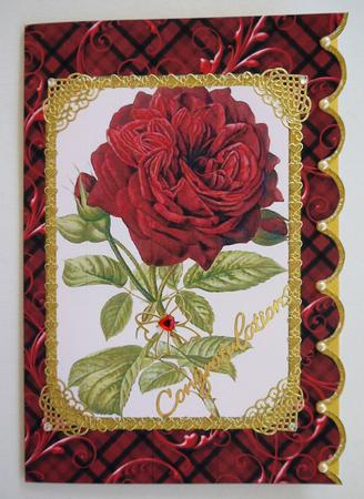Red Rose A5 Scallop Edge Card by Selina Dittmann