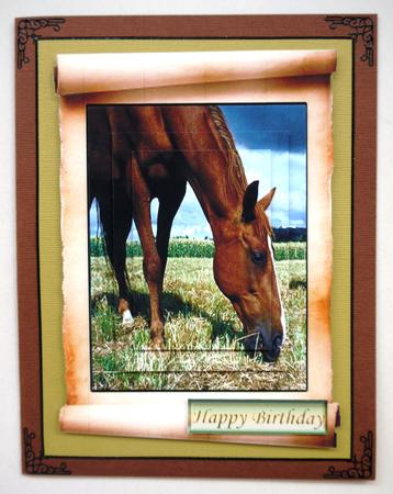 Horse in the Paddock Well Done Best Wishes by Selina Dittmann