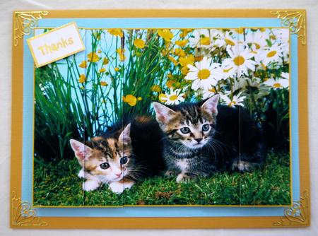 2 Spring Time Kittens Side Stacker by Selina Dittmann