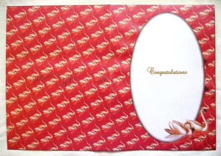 Swans Insert (red) by Selina Dittmann