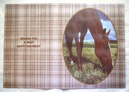 Horses Insert Cut to Size Required by Selina Dittmann